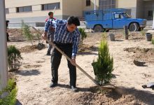 گزارش تصویری مراسم روز درخت کاری و تقدیر از نیروهای باغبانی دانشگاه